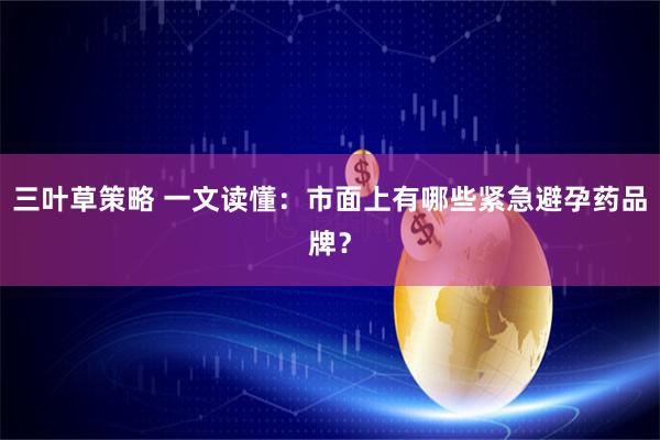 三叶草策略 一文读懂：市面上有哪些紧急避孕药品牌？