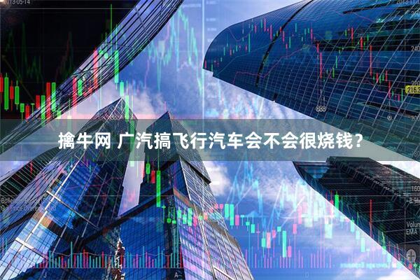 擒牛网 广汽搞飞行汽车会不会很烧钱？