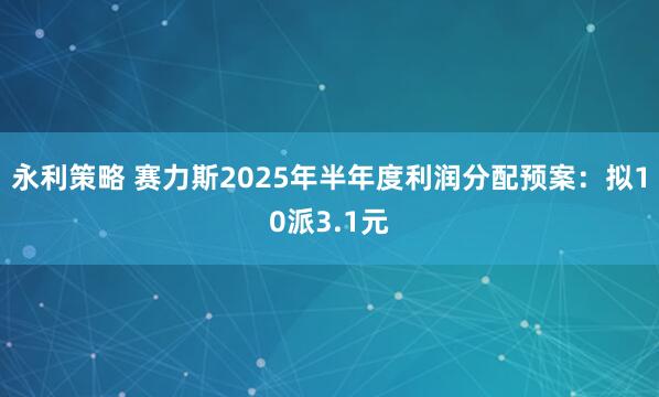 永利策略 赛力斯2025年半年度利润分配预案：拟10派3.1元
