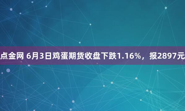 点金网 6月3日鸡蛋期货收盘下跌1.16%，报2897元