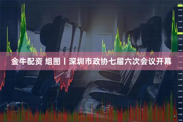 金牛配资 组图丨深圳市政协七届六次会议开幕