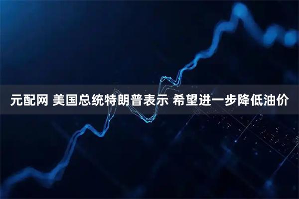 元配网 美国总统特朗普表示 希望进一步降低油价